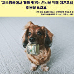 [우리모두뉴스: 카드] 제주항공에서 개를 키우는 손님을 위해 애견호텔 이용을 도와요