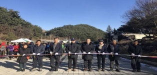 산림청, 강릉 어흘리 100년 대관령 소나무숲 최초 개방