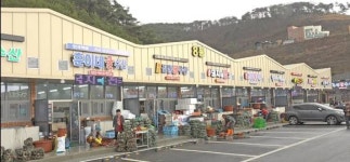 보령시, 제16회 보령 천북굴축제 개최