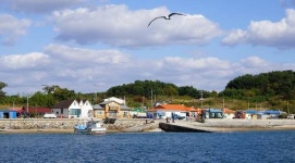 보령시, 어촌뉴딜 300사업 선정…효자도와 호도에 2년간 157억원 투입