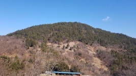 남해군, 이동 무림지구 자연장지 조성사업 추진