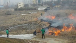 아산시 온양4동 새마을협의회, 산불예방 농산폐기물 공동소각 실시