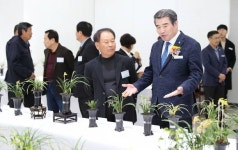 보령시 난 연합회, 제19회 한국 춘란전시회 개최