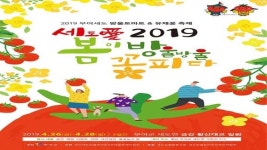 부여군, 세도 금강변을 수놓는 방울토마토와 유채꽃