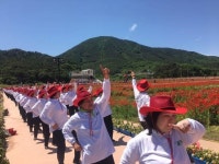하동군 평생학습 수강생, 라인댄스로 꽃양귀비와 하나 돼