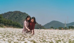 [포토] 운산면 용장천 꽃밭