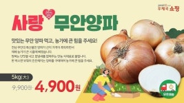 전남지방우정청, 산지폐기 앞둔 무안 양파 판매지원 나서