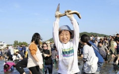 태안군, 신두리 해변서 제17회 태안 국제 모래조각 페스티벌 개최
