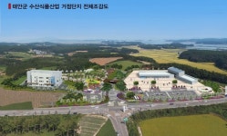 태안군, 수산식품산업 거점단지 조성사업 실시설계 최종보고회 개최