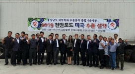 천안 하늘그린 거봉포도, 미국 수출 선적식 개최