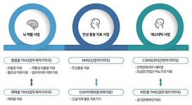 테슬라 상장 리메드 전자약 통해 뇌질환·에스테틱 시장 공략