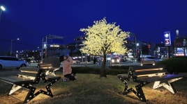 보령시 내년 1월말까지 시가지 야간경관조명 반짝반짝