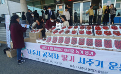 나주시, 딸기 사주기 운동으로 1주만에 2600박스 판매 성과