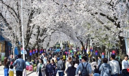 제천시, 청풍면 물태리 및 의림지 일원 행정명령 발령