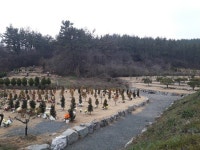 함평군 대동면 수목장 위법 시비…행정소송 가나