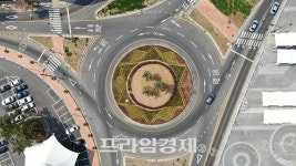 여수시 박람회장 정문 앞 로터리 교통섬 조경수목 단장