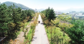 산림청, 2020 가로수 조성·관리 지침서 발간