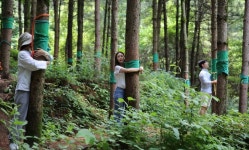 산림청, 코로나19 대응 숲 치유 지원 대상·기간 확대
