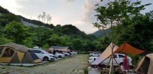 코로나19로 지친 몸·마음 푸른 숲 아름다운 함양군서 힐링