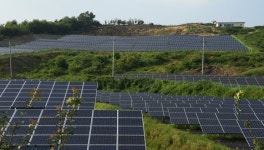 산림청 산지특별점검단, 산지 태양광발전시설 긴급 현장점검 실시