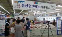 홍성군 홍산마늘 국내 마늘시장 도전장