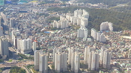 공인중개사 해외체류 중 부동산 불법 중개…14명 형사 입건