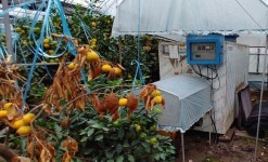 중부발전, 농수산업 저탄소 생산기술 지원 공유가치 창출