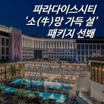 [카드] 파라다이스시티 소(牛)망 가득 설 패키지 선봬