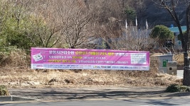 [포토] 포항시산림조합, 버젓이 불법현수막