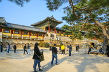 [포토] 한국관광 100선 선정된 불국사의 봄