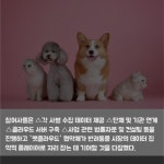 [카드] 한화손해보험, 스파크펫과 펫클라우드 MOU 체결
