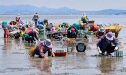 [브리핑 한국어촌어항공단] 영덕군과 백석항 어촌뉴딜사업 건축설계 제안 공모