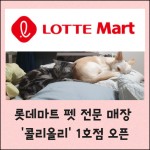 [카드] 롯데마트 펫 전문 매장 콜리올리 1호점 오픈