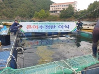 [브리핑 충북] 2021 솔라·에너지 페스티벌 온라인 행사 성공 개최
