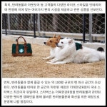 [카드] 북한강 전경과 다양한 취향이 하나되는 곳