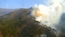 전남 구례군 산불 확산 산불 1단계 발령...산불헬기 7대, 산불진화원 121명 긴급 투입 진화중
