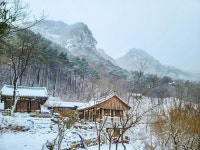 [포토] 팔공산에 봄 시샘 눈 내려