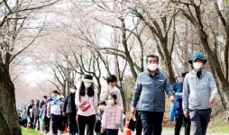 [포토] 보령시 주산면 3년 만에 화산천변 벚꽃길 봄꽃축제 성황리 개최