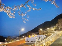 [부강 진주] 월아산 자연휴양림 15일 운영…주말 예약 100%
