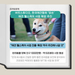 [카드] 버킷스튜디오, 애견 헬스케어 사업 확장 추진 본격화