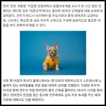 [카드] 파라다이스호텔 부산,  이웅종 교수와 함께 하는 펫크닉 개최