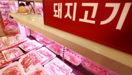 수입고기직매장장 | 수입 돼지고기 관세 0% 적용…물가 안정 총력전