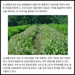 [카드] LG생활건강, 우리나라 자생식물 보전  미래자산 확보한다