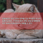 [카드] 안병길 의원, 동물병원 개설자 진료 거부 방지법 대표발의