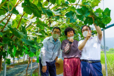 [포토] 경북농업기술원, 돌발병해충 긴급방제 실시