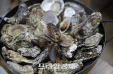 깊어지는 가을바다 보령시 2022 천북 굴 홍보 행사 3년 만에 개최