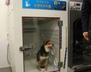 진주시-시의회-주민 반려동물종합지원센터 대전센터 견학