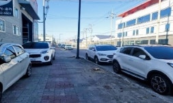 오경훈 시의원 진주시 도시재생 벌목, 시민 혈세 낭비한 전형적 탁상행정