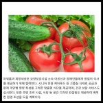 (주)아워홈 (신)키즈웰마산점 | [카드] 아워홈, 영남지역 시니어·키즈 식자재 시장 공략 속도