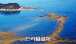 '현대판 모세의 기적' 2023 무창포 신비의 바닷길 주꾸미·도다리 축제 개최